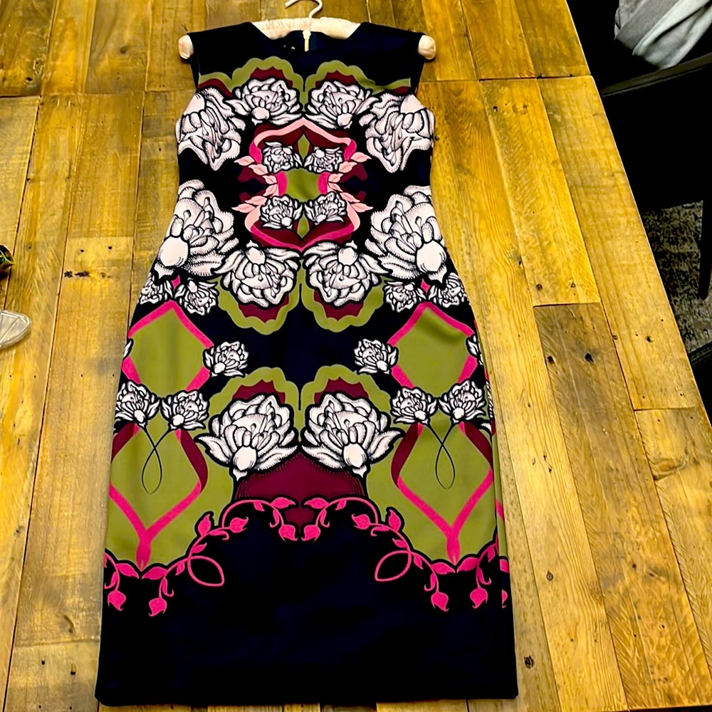 Gorgeous Ted Baker sheath dress